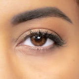 Lentilles de Couleur Noisette - Trendy Noisette - 1 an