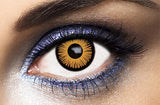 Lentilles Vampire - Edward Twilight - 7 jours