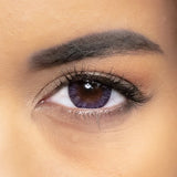 Circle Lenses Violet - 1 an