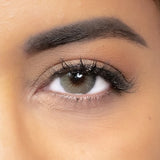 Lentilles de Couleur Marron - French Brown - 1 an