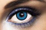 Lentilles Bleues - Zoom In - 7 jours