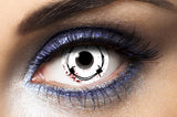 Lentilles Blanches - Wire Barbed - 1 an